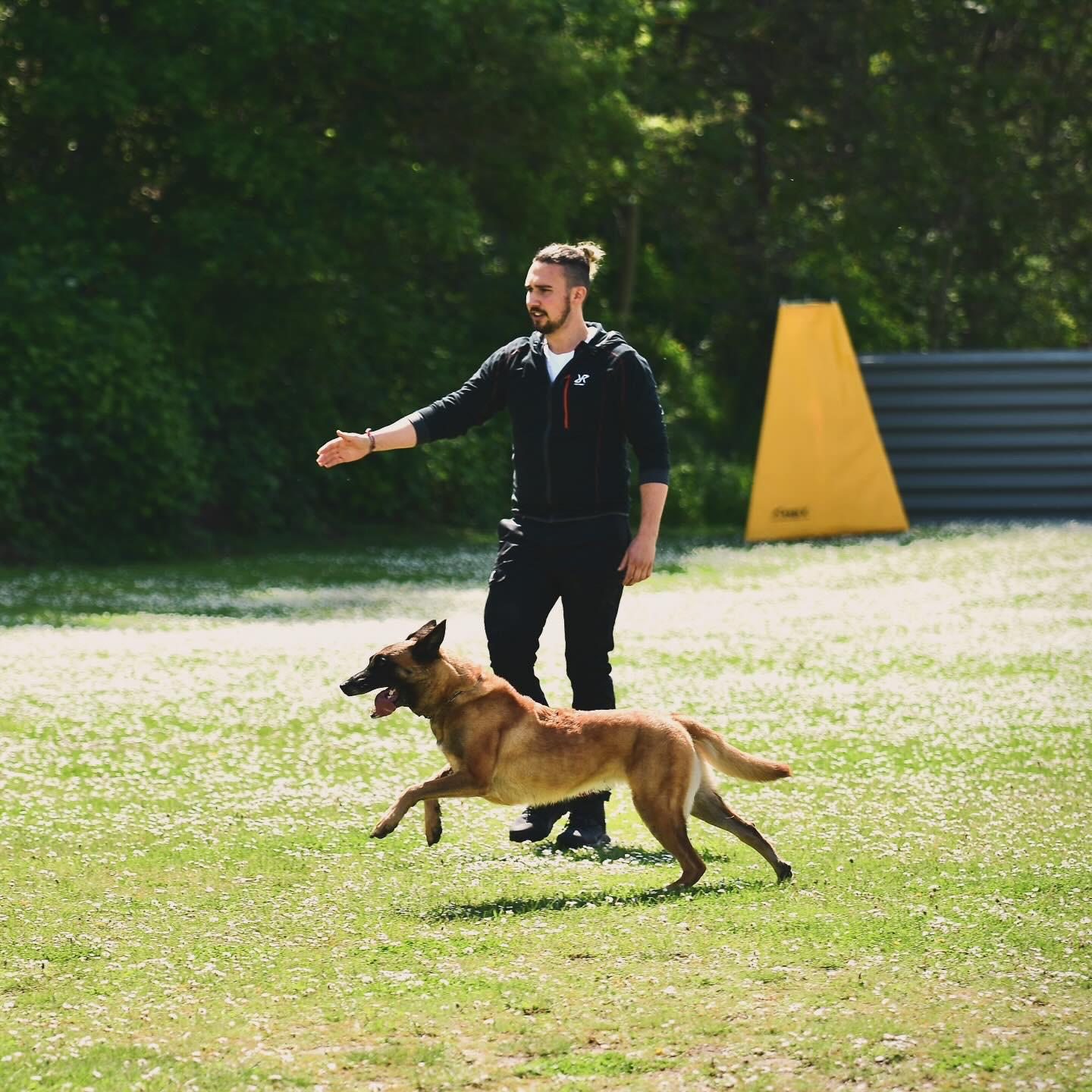 Hundezucht & Training